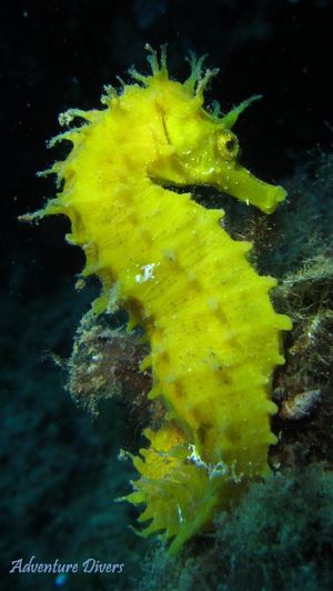 Image No.21-Property for sale