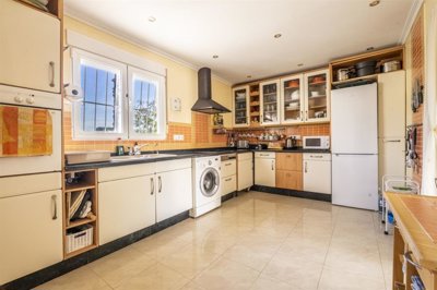 iz3ed1buckiciwogk8nliw