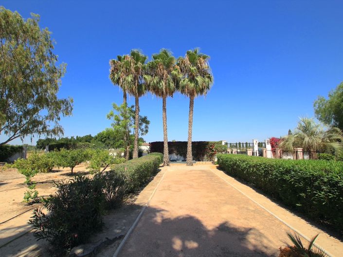 Image No.2-Finca de 3 chambres à vendre à Daya Vieja