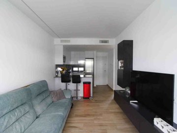 49045contemporarytwobedroomgardenapartmentval