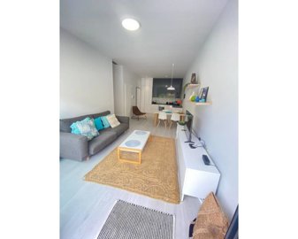 49188lightmodernandspaciuosgroundfloorapartme
