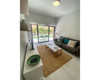 49188lightmodernandspaciuosgroundfloorapartme