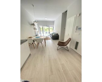 49188lightmodernandspaciuosgroundfloorapartme