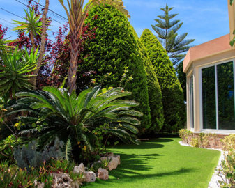 49310exquisiteluxuryvillawith4bedroomsand5bat