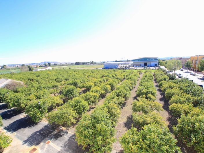 Image No.27-Appartement de 2 chambres à vendre à Daya Nueva