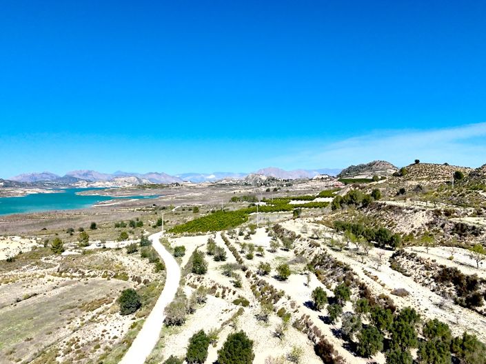 Image No.3-Villa de 3 chambres à vendre à San Miguel de Salinas