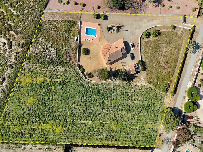 Image No.7-3 Bed Finca for sale