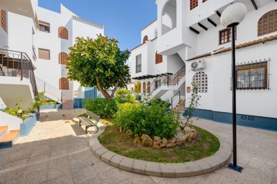 49600cosyapartmentinplayadelosfragos350meters