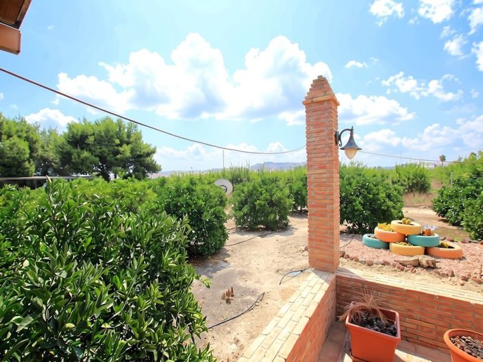 Image No.11-Finca de 3 chambres à vendre à Formentera Del Segura