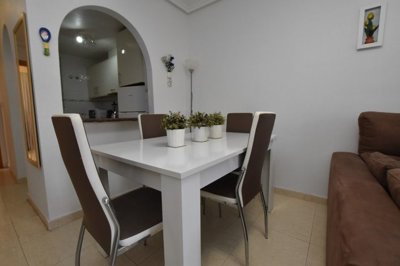 49832penthousewithprivatesolariumandmountainv