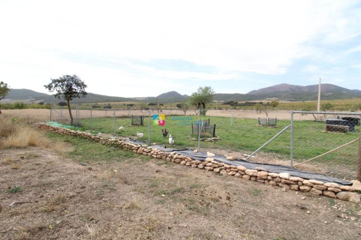 Image No.19-3 Bed Country House for sale