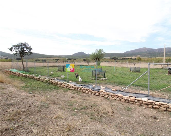 Image No.19-3 Bed Country House for sale