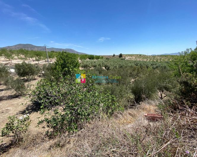 Image No.16-Maison de campagne de 2 chambres à vendre à Somontín