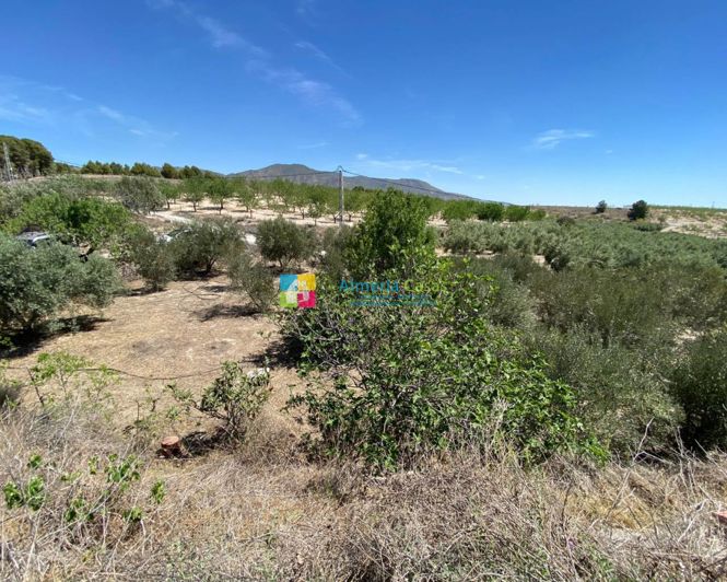 Image No.17-Maison de campagne de 2 chambres à vendre à Somontín