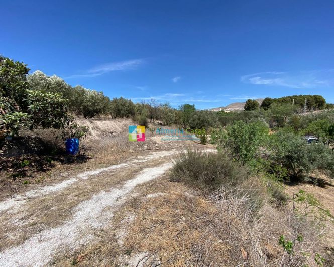 Image No.18-Maison de campagne de 2 chambres à vendre à Somontín