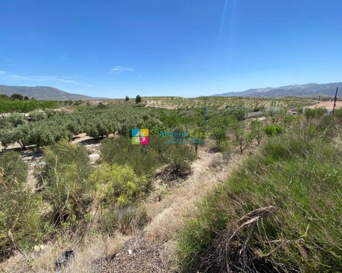 Image No.19-Maison de campagne de 2 chambres à vendre à Somontín