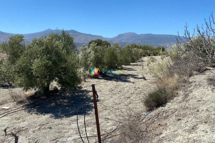 Image No.23-Villa de 2 chambres à vendre à Somontín