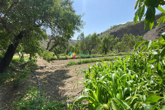 Image No.36-5 Bed Villa for sale