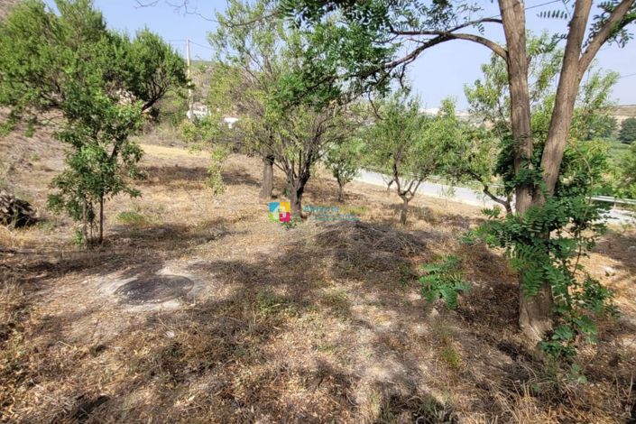 Image No.40-5 Bed Country House for sale