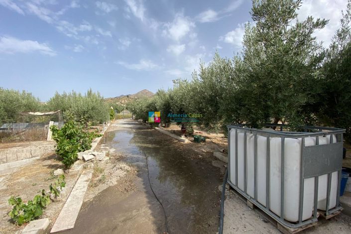 Image No.35-Maison de campagne de 4 chambres à vendre à Lúcar
