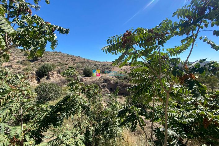 Image No.44-3 Bed Country House for sale