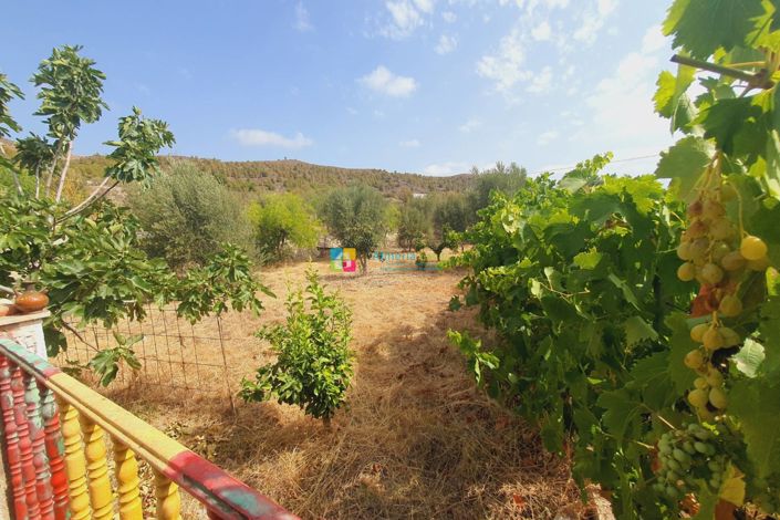 Image No.19-1 Bed Country House for sale