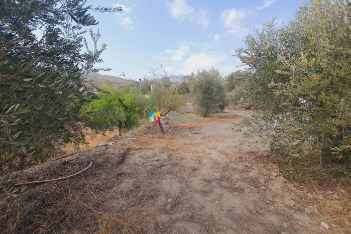 Image No.21-1 Bed Country House for sale