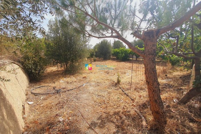 Image No.22-1 Bed Country House for sale