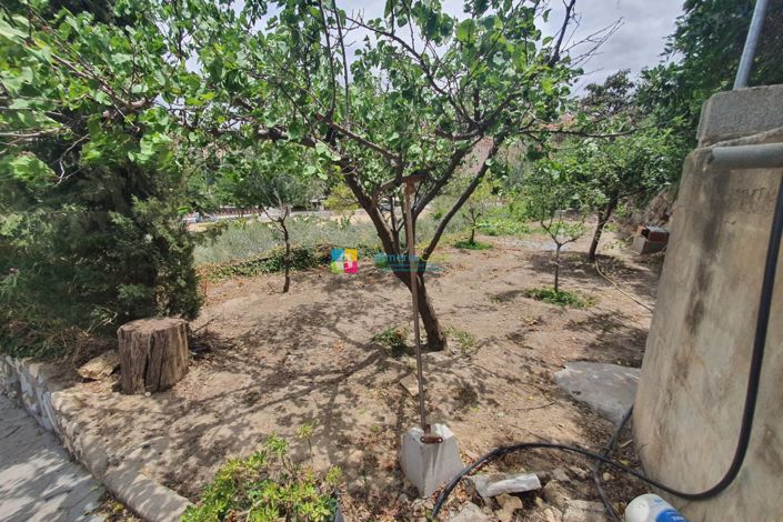 Image No.42-3 Bed Country House for sale