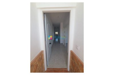 141836xl