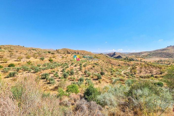 Image No.31-4 Bed Country House for sale