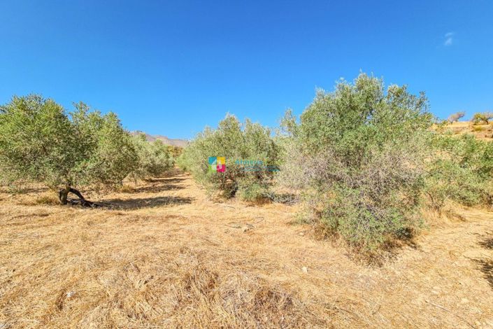 Image No.33-4 Bed Country House for sale