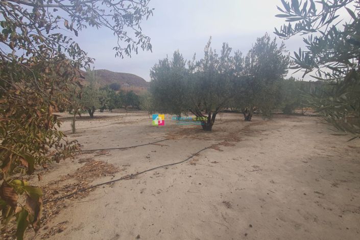 Image No.21-2 Bed Country House for sale