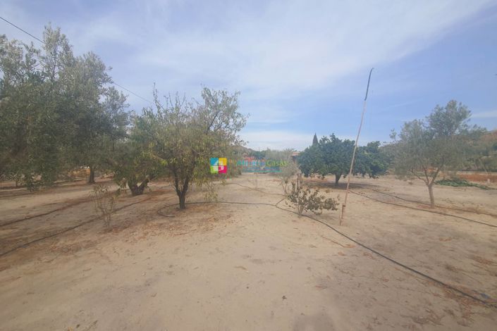 Image No.22-2 Bed Country House for sale