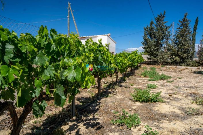 Image No.42-Maison de campagne de 5 chambres à vendre à Cantoria