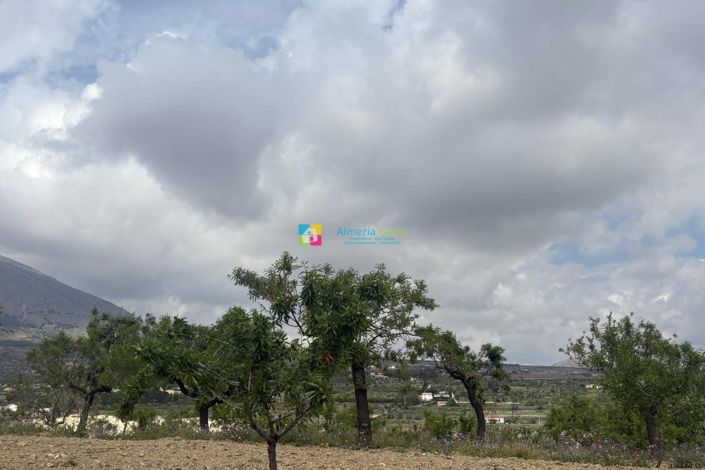 Image No.40-3 Bed Country House for sale