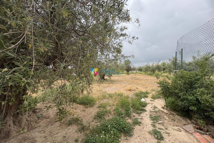 Image No.19-2 Bed Country House for sale