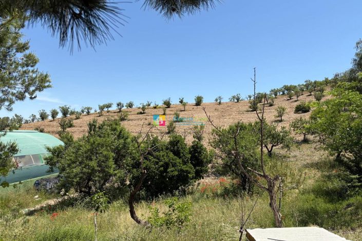 Image No.31-4 Bed Country House for sale