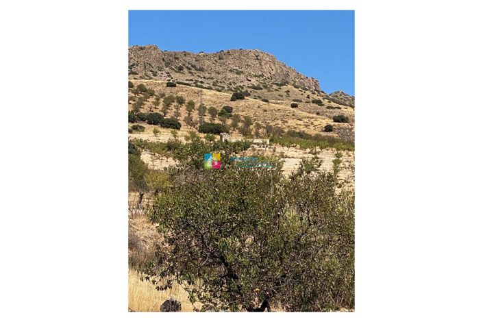 Image No.42-Maison de campagne de 5 chambres à vendre à Albox