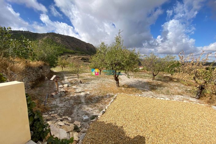 Image No.19-3 Bed Country House for sale