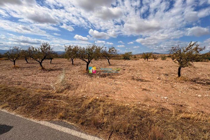 Image No.14-Maison de campagne à vendre à Taberno