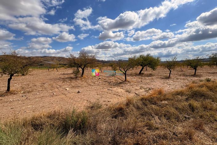 Image No.15-Maison de campagne à vendre à Taberno
