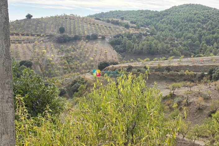 Image No.38-6 Bed Country House for sale