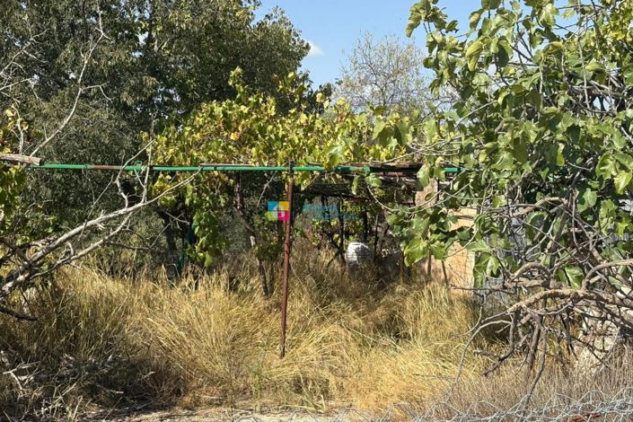 Image No.12-Maison de campagne à vendre à Somontín