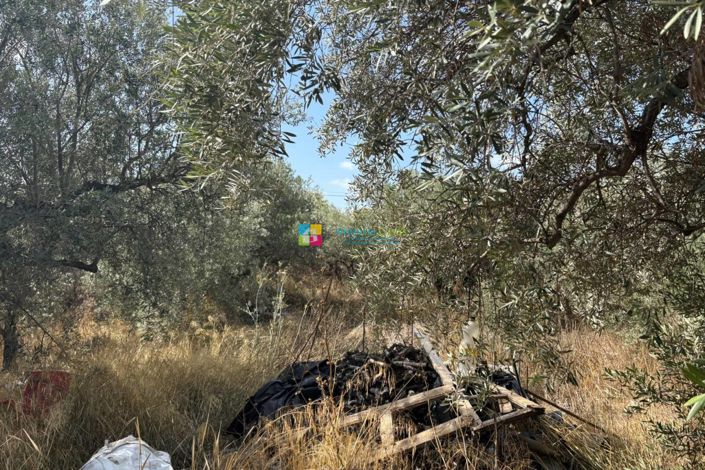 Image No.13-Maison de campagne à vendre à Somontín