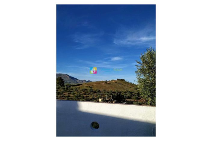 Image No.46-8 Bed Country House for sale