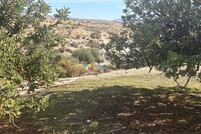 Image No.30-4 Bed Country House for sale