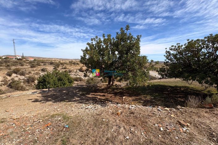 Image No.31-4 Bed Country House for sale