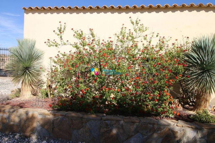 Image No.3-3 Bed Villa for sale