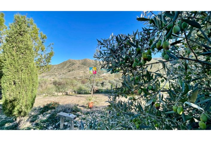 Image No.9-Maison de campagne de 4 chambres à vendre à Almanzora